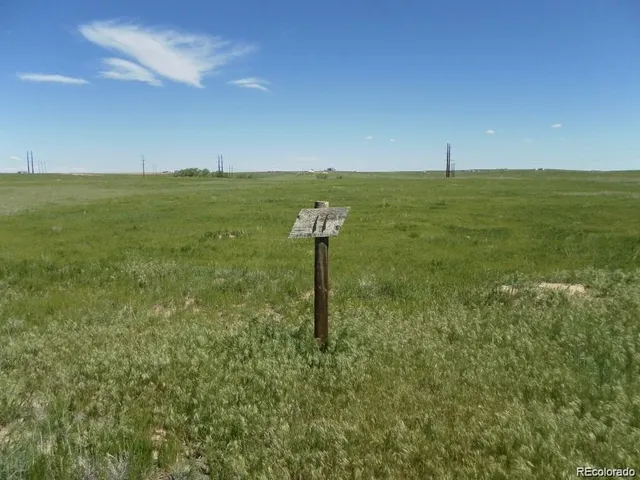 a view of a field with an ocean