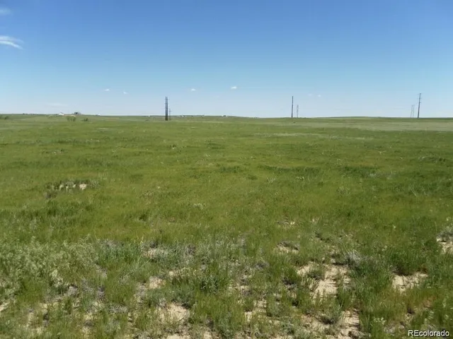 a view of a field with an ocean view