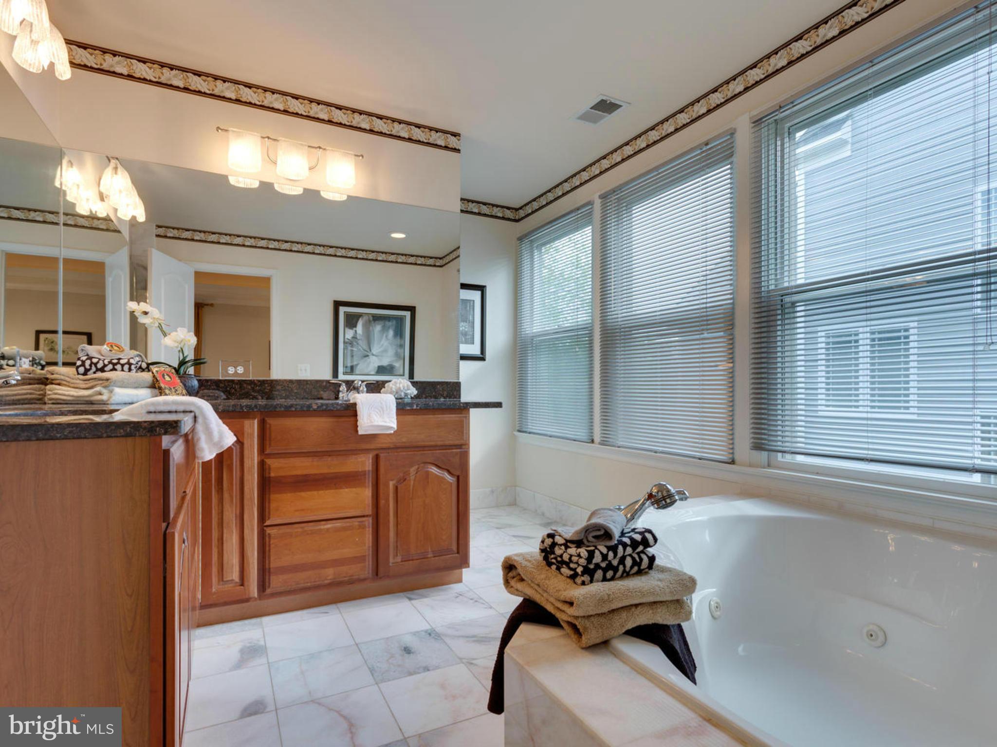 1216 Summit Road McLean, VA 22101 - Photo 17 of 27 Bath (Master)