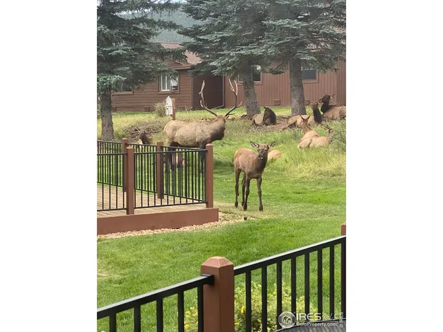 $525,000 | 1422 Matthew Circle, Unit 2, Estes Park, CO 80517