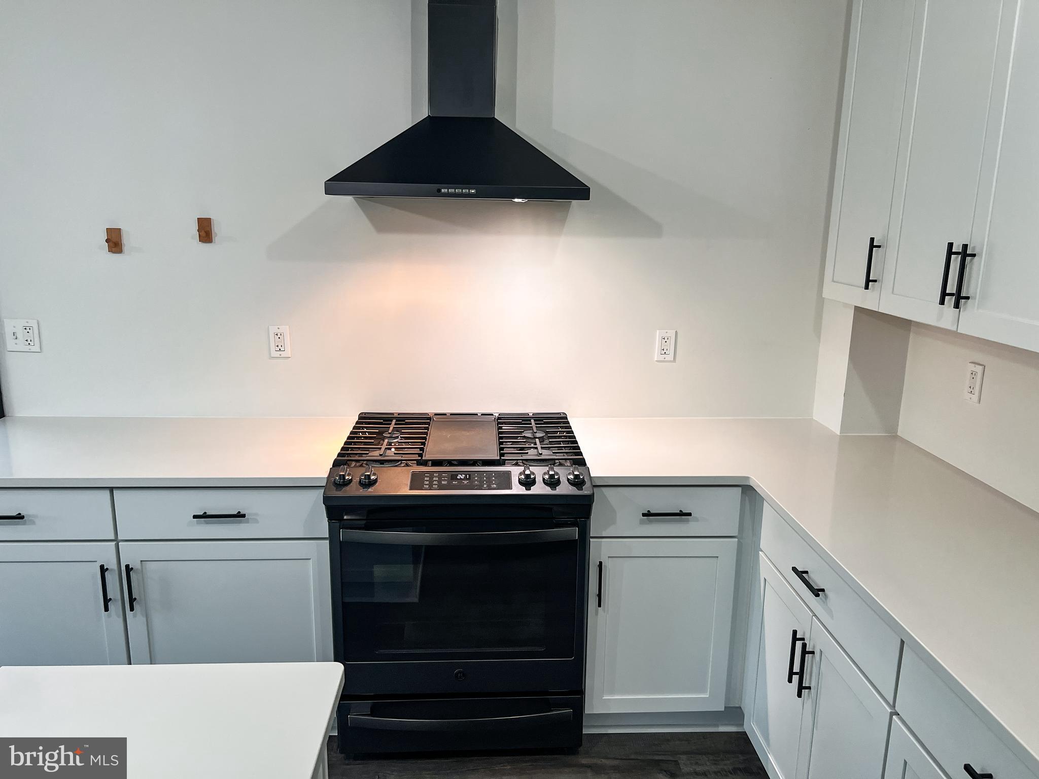22310 Dickerson Road Dickerson, MD 20842 - Photo 26 of 68 Kitchen