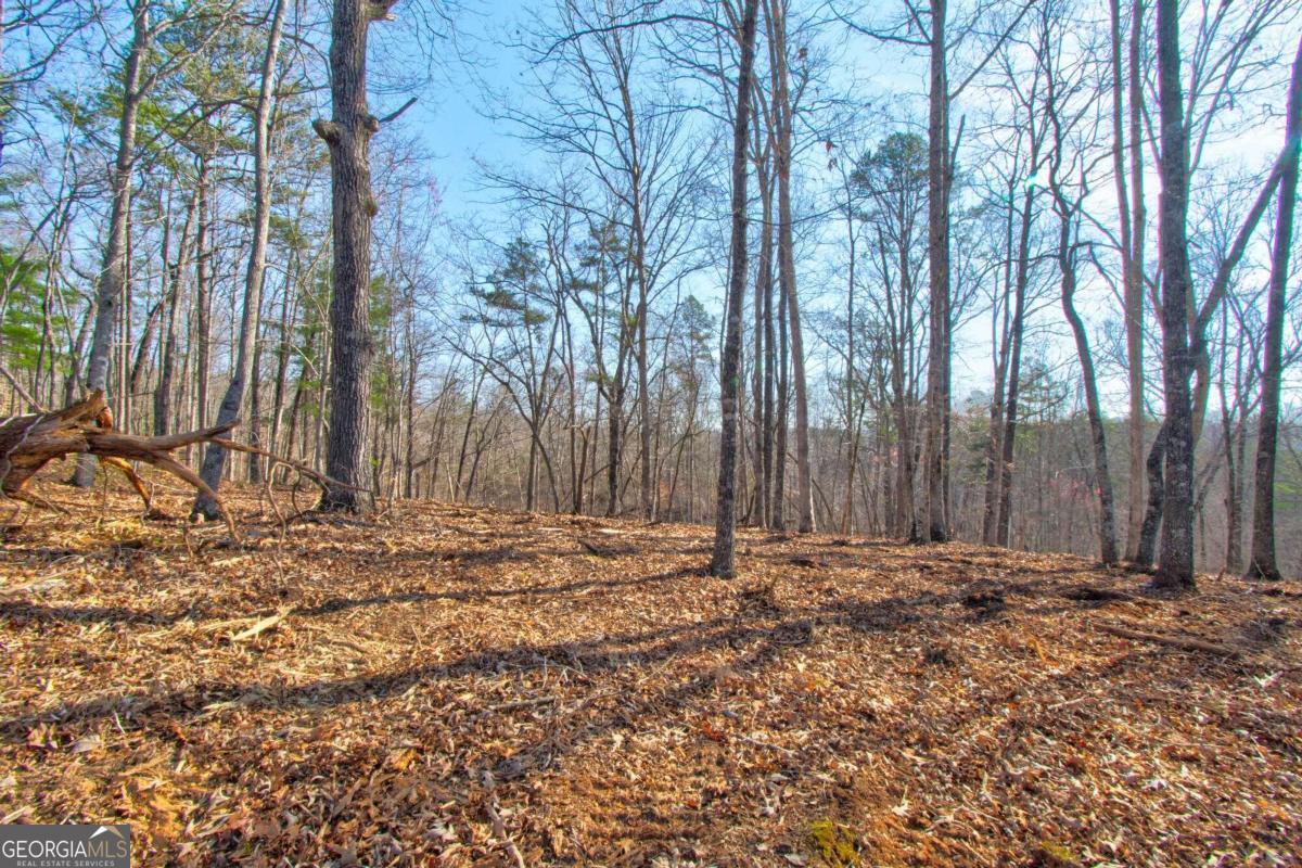 3 Lawrence Road Dawsonville, GA 30534 - Photo 1 of 1 Gallery Image 1