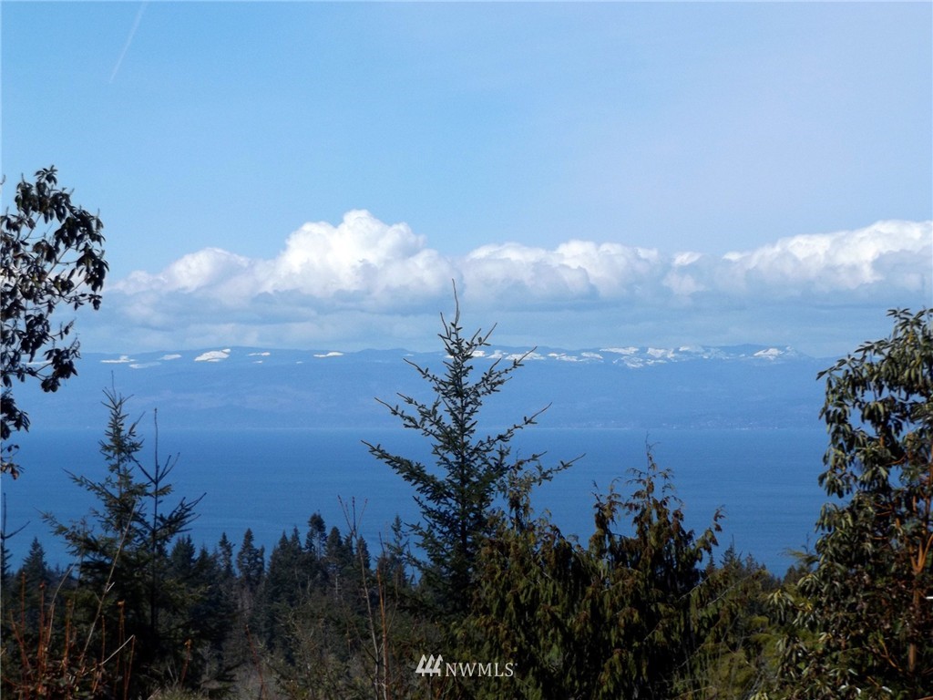 228 Cougar Ridge Road Port Angeles, WA 98363 - Photo 23 of 25 Gallery Image 23
