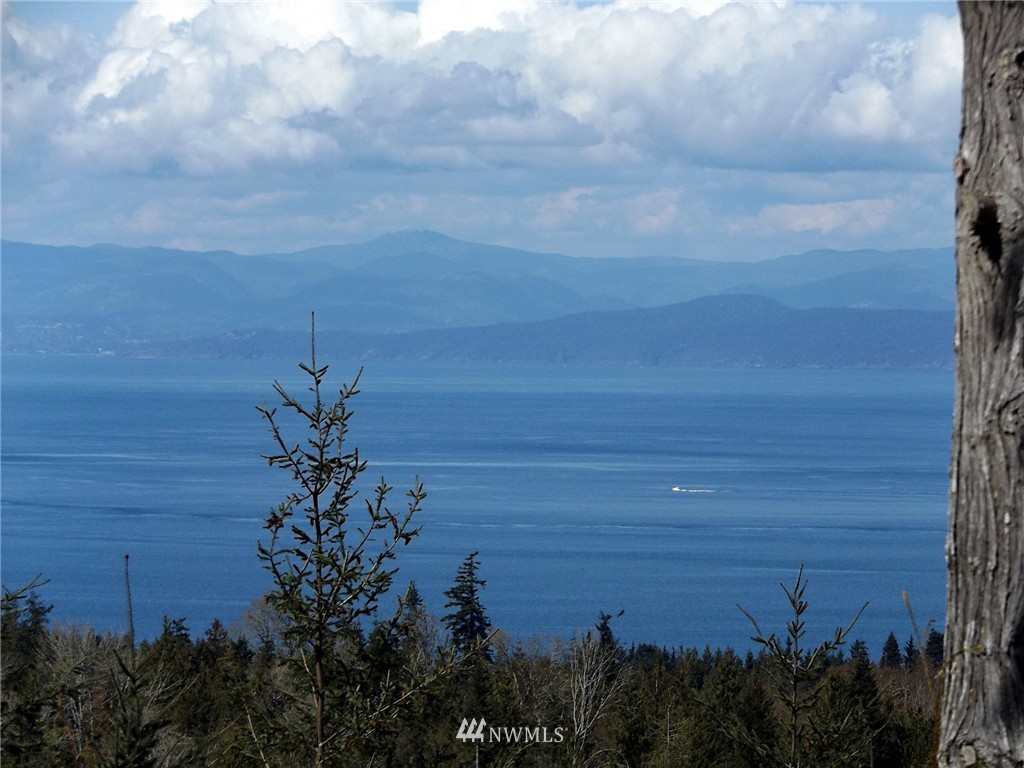 228 Cougar Ridge Road Port Angeles, WA 98363 - Photo 24 of 25 Gallery Image 24