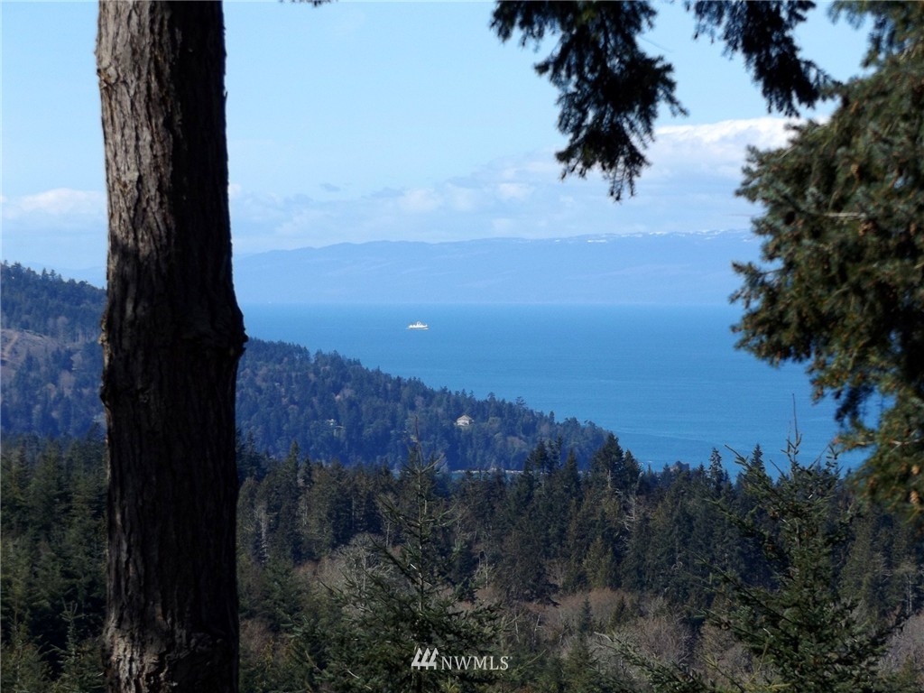 228 Cougar Ridge Road Port Angeles, WA 98363 - Photo 25 of 25 Gallery Image 25
