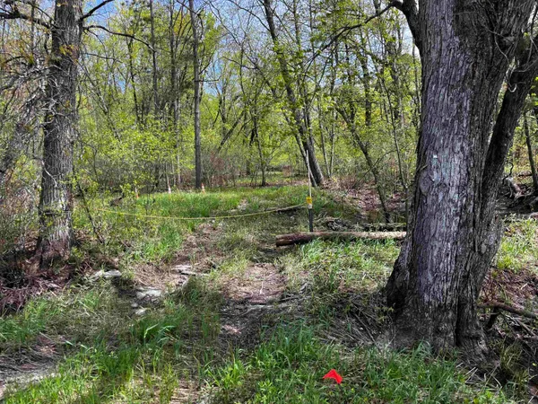 $90,000 | 30-acres 30-acres 6th, New Lisbon, WI 53950