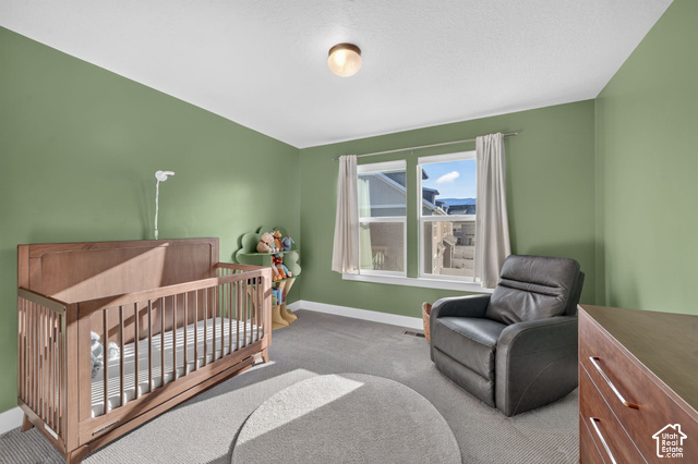 1081 Bowery Way Mapleton, UT 84664 - Photo 18 of 41 Additional content