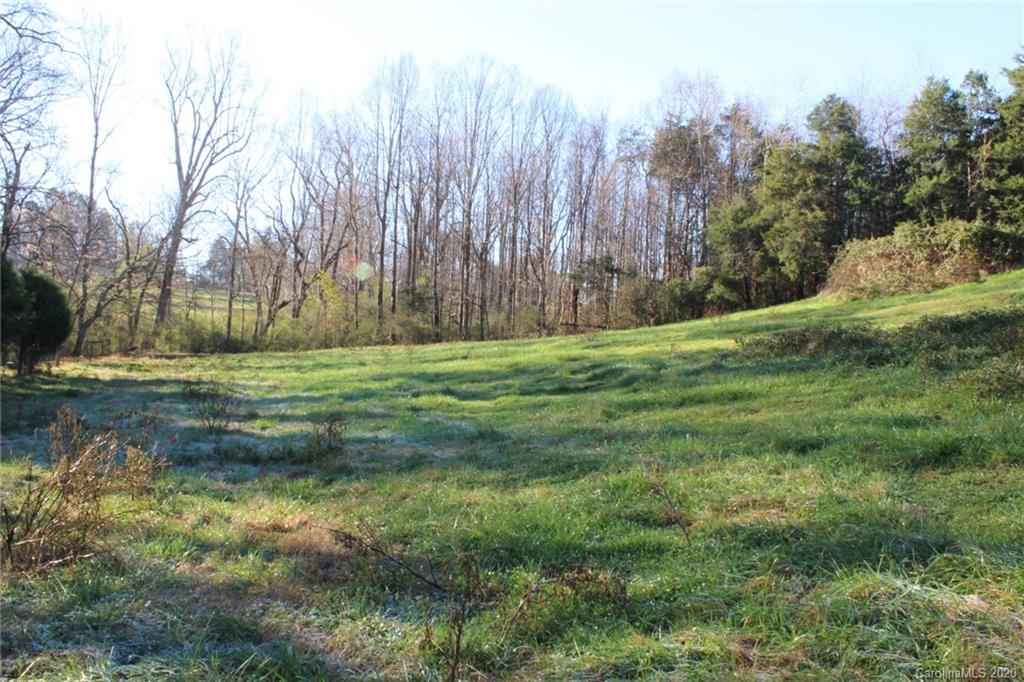 0 Calhoun Road Stony Point, NC 28678 - Photo 36 of 48 a big yard with lots of green space and plants