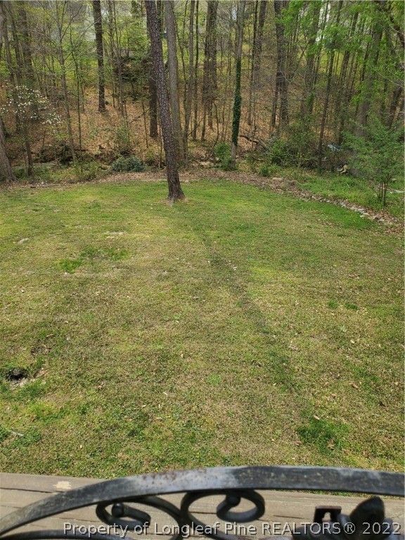 216 Ruby Ridge Road Durham, NC 27703 - Photo 29 of 32 Gallery Image 29