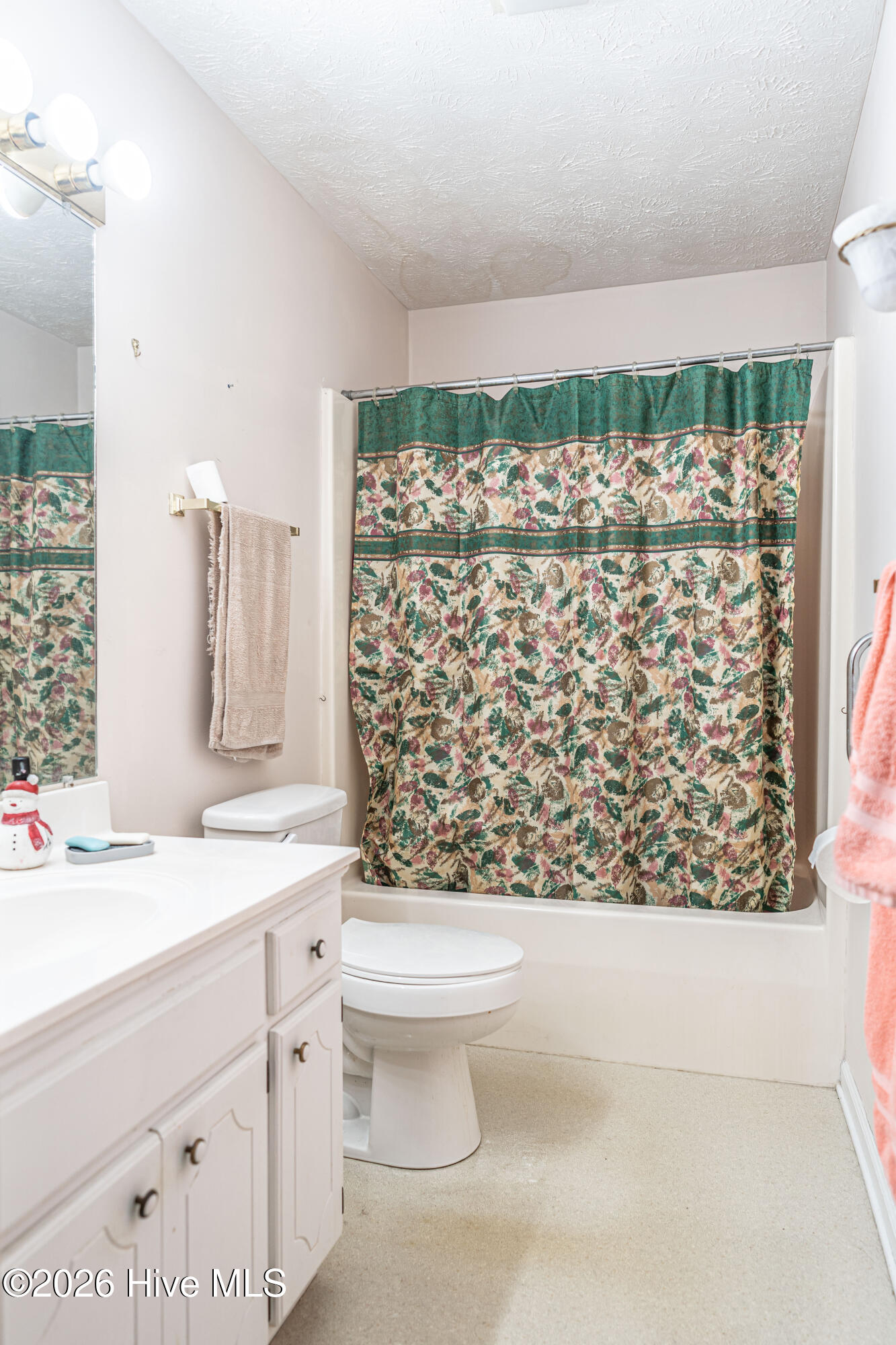 133 Wilderness Drive Rockingham, NC 28379 - Photo 12 of 51 DSC00085