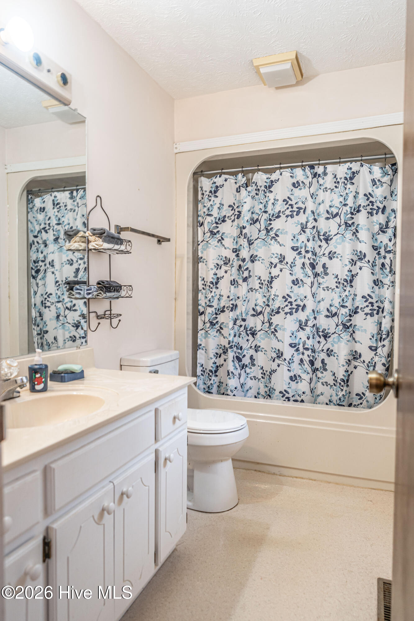 133 Wilderness Drive Rockingham, NC 28379 - Photo 19 of 51 DSC00093