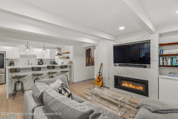 $25,000 | 731 East Durant Avenue, Unit 2, Aspen, CO 81611