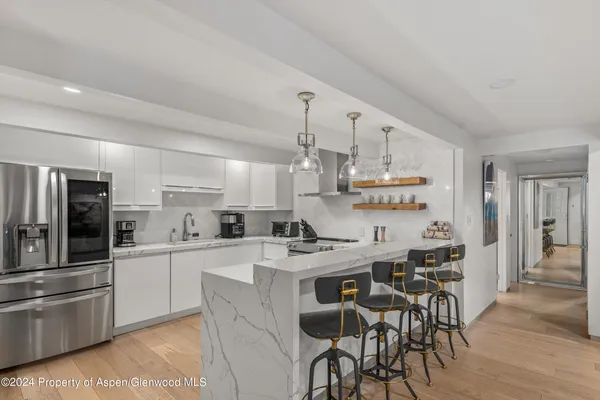 $25,000 | 731 East Durant Avenue, Unit 2, Aspen, CO 81611