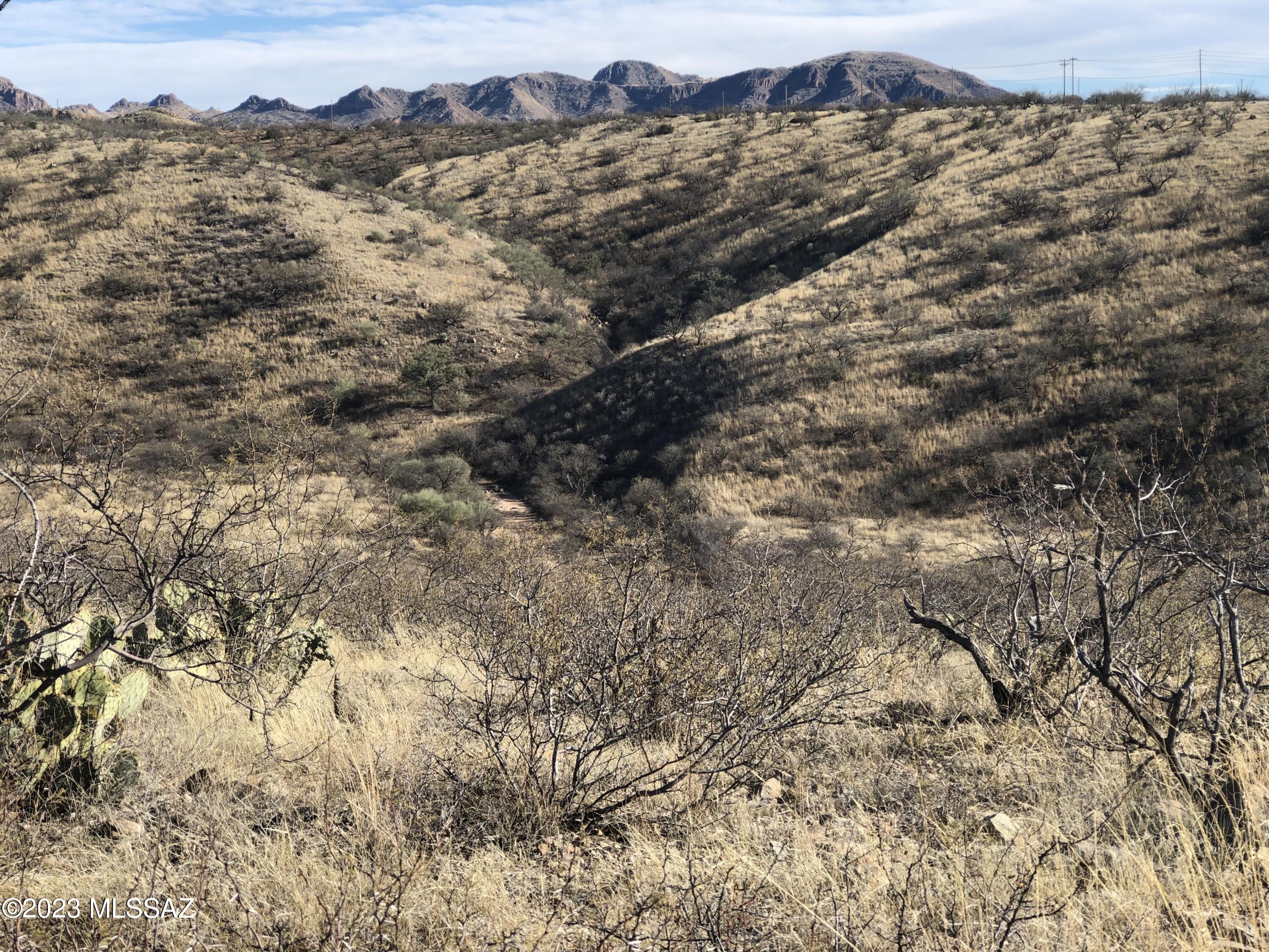 415 Pelicano Ct., Unit 7172 Rio Rico, AZ 85648 - Photo 11 of 21