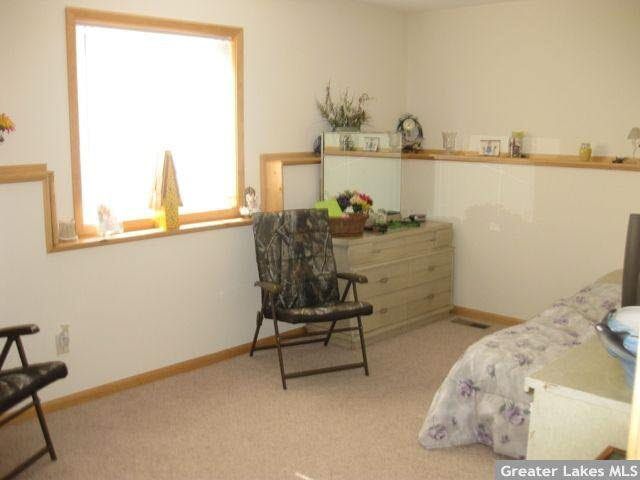 1972 Nelson Lake Road Pillager, MN 56473 - Photo 6 of 14 Gallery Image 6