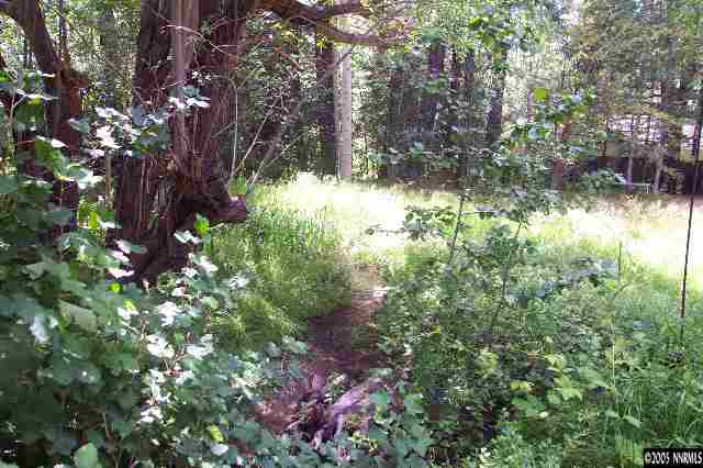 355 Summit Drive Stateline, NV 89449 - Photo 3 of 9 a view of a yard with a tree