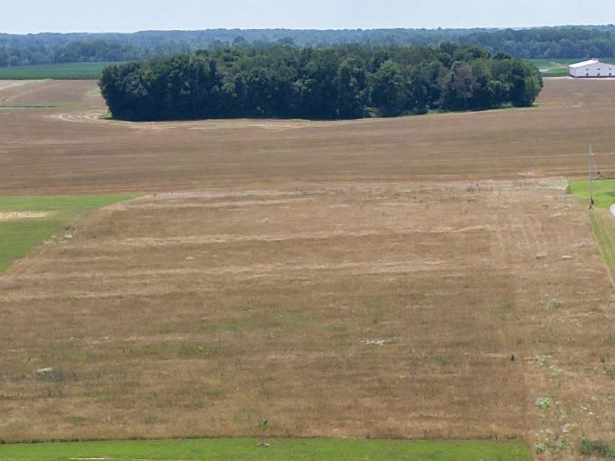 0 Cook Road Orlinda, TN 37141 - Photo 1 of 2 Gallery Image 1