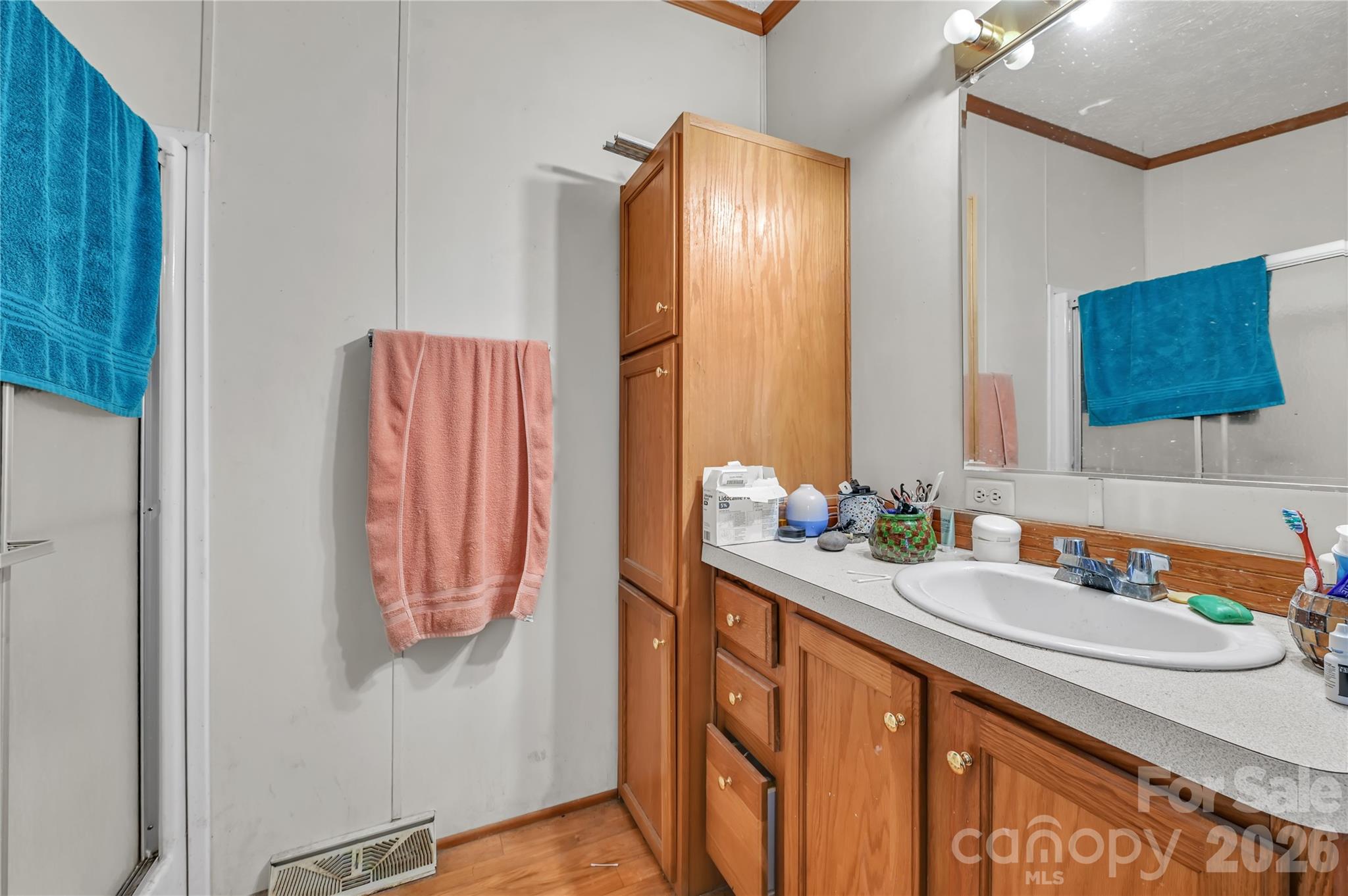 2571 Major Evans Road Lancaster, SC 29720 - Photo 11 of 19 a bathroom with a sink and a mirror