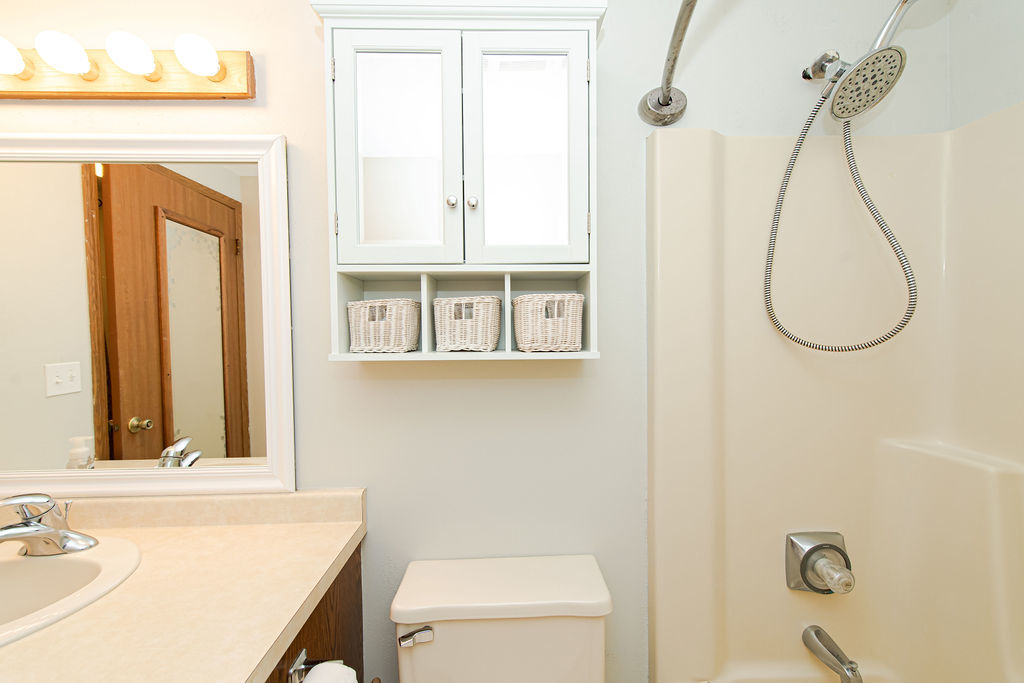 25696 Raska Lane, Unit A Lake Villa, IL 60046 - Photo 10 of 31 a bathroom with a sink a toilet and a mirror