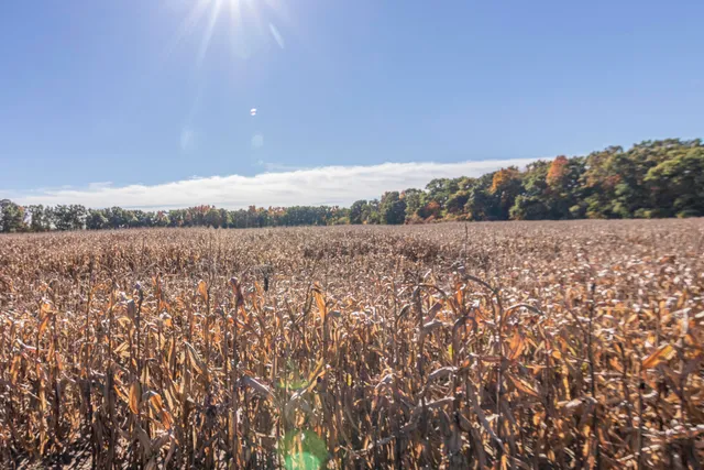 $299,900 | 2244 East T Avenue, Portage, MI 49002