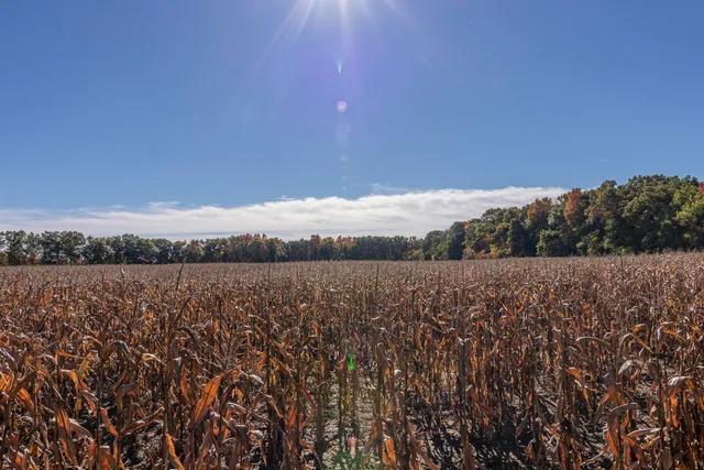 $299,900 | 2244 East T Avenue, Portage, MI 49002