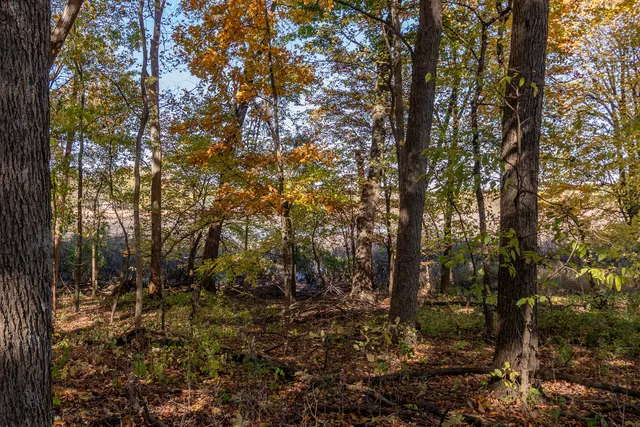 $299,900 | 2244 East T Avenue, Portage, MI 49002