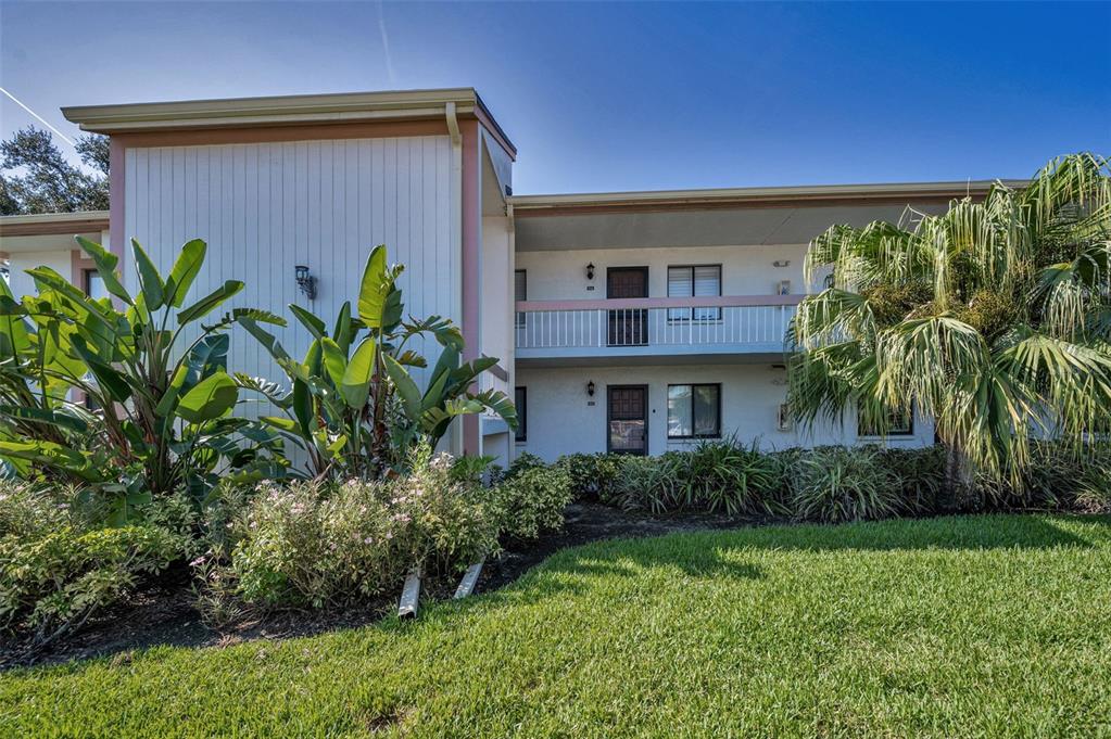 103 Lakeview Place, Unit 3 Oldsmar, FL 34677 - Photo 2 of 54 a house that has a plant in front of it