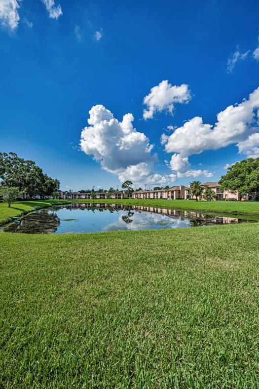 103 Lakeview Place, Unit 3 Oldsmar, FL 34677 - Photo 36 of 54 a view of a big house with a big yard