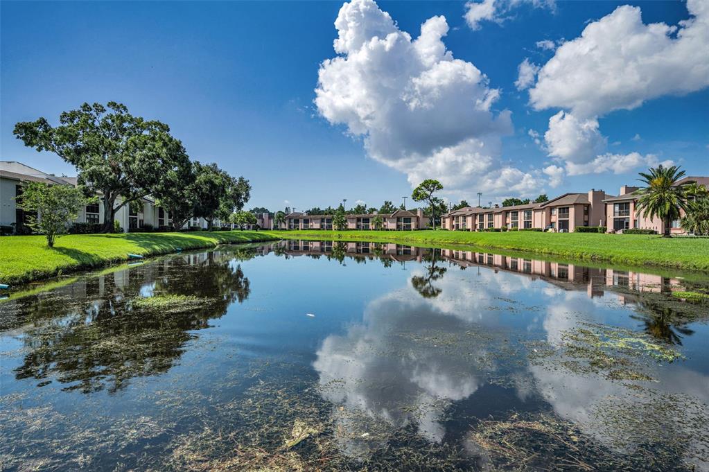 103 Lakeview Place, Unit 3 Oldsmar, FL 34677 - Photo 37 of 54 a view of a lake with a house in the background