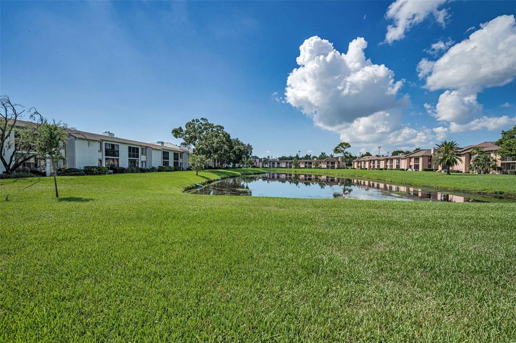 103 Lakeview Place, Unit 3 Oldsmar, FL 34677 - Photo 38 of 54 a view of a house with a big yard
