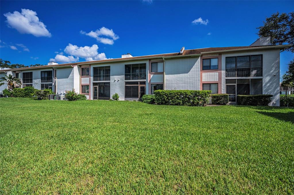 103 Lakeview Place, Unit 3 Oldsmar, FL 34677 - Photo 41 of 54 a view of a yard in front of a house