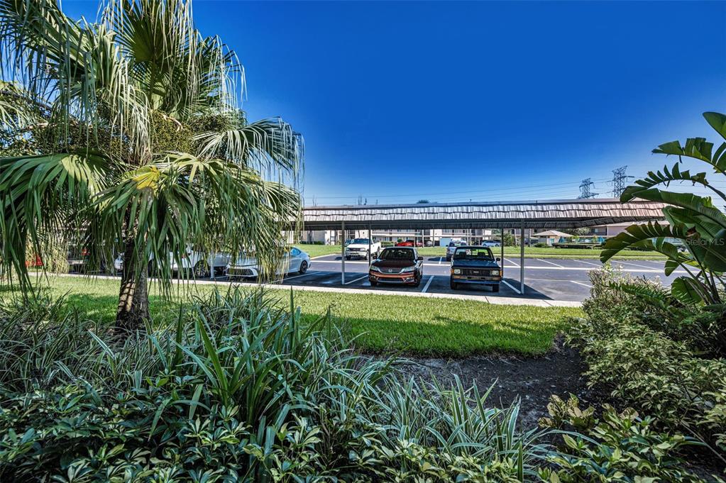 103 Lakeview Place, Unit 3 Oldsmar, FL 34677 - Photo 42 of 54 a view of swimming pool outdoor seating and yard