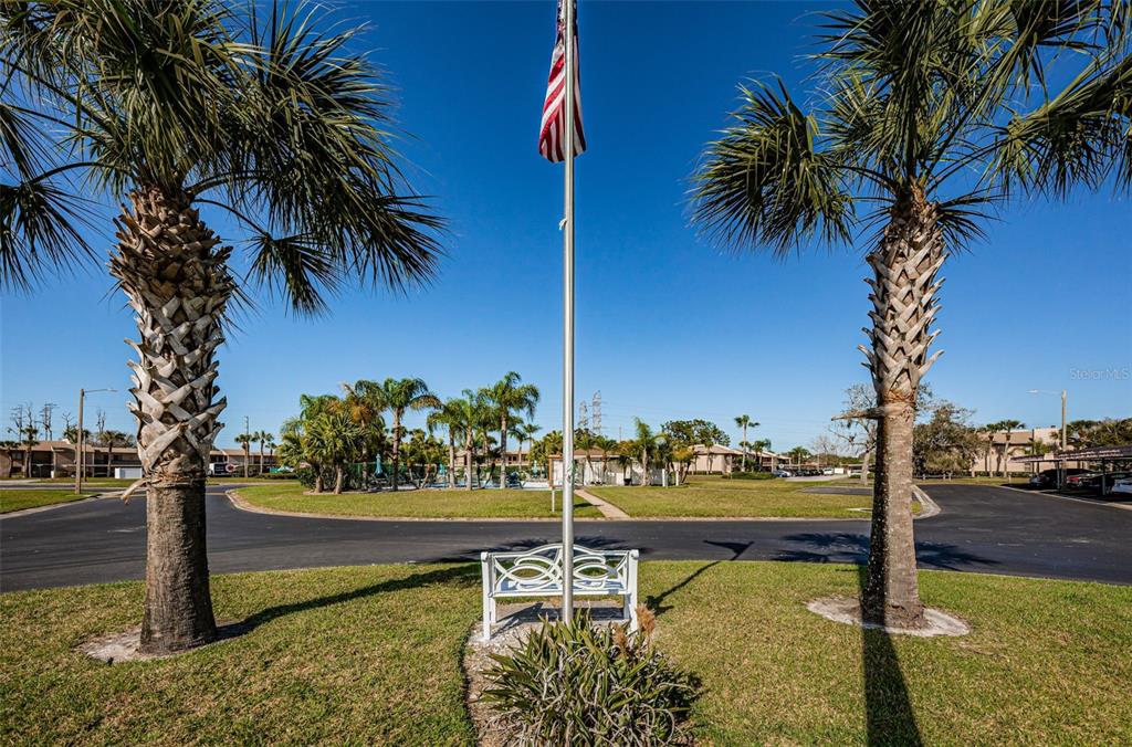 103 Lakeview Place, Unit 3 Oldsmar, FL 34677 - Photo 45 of 54