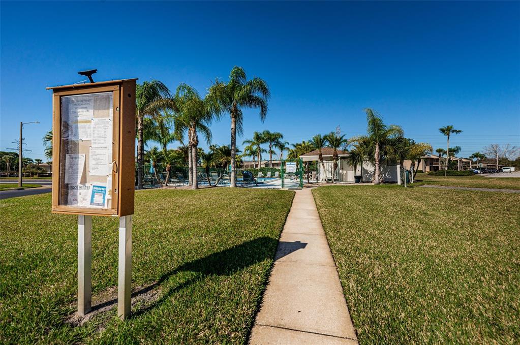 103 Lakeview Place, Unit 3 Oldsmar, FL 34677 - Photo 46 of 54 a view of a swimming pool with a yard