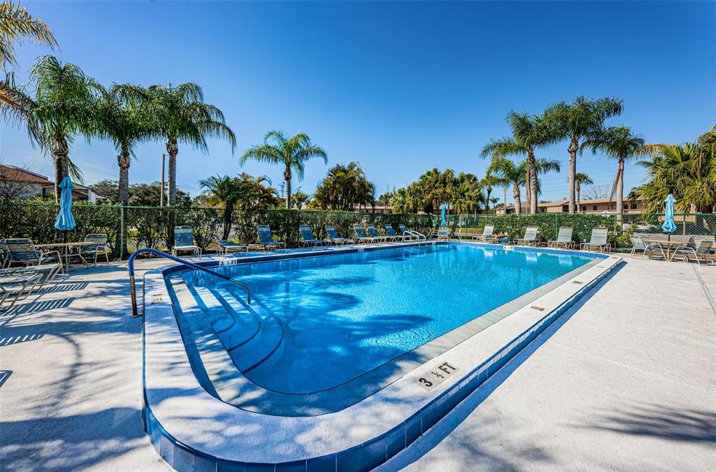 103 Lakeview Place, Unit 3 Oldsmar, FL 34677 - Photo 48 of 54 a view of swimming pool with sitting area