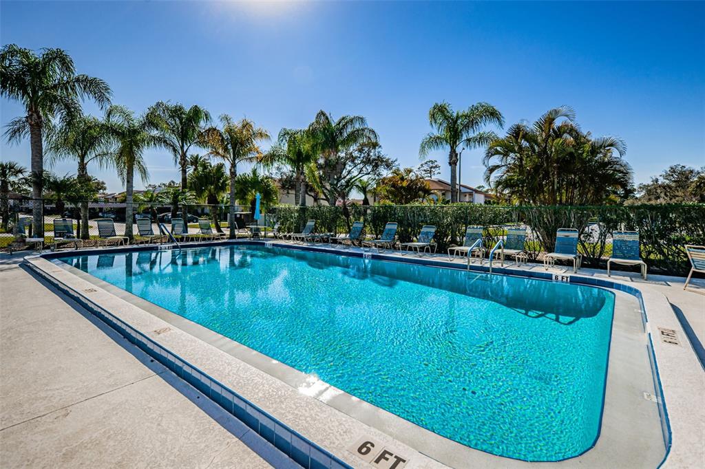 103 Lakeview Place, Unit 3 Oldsmar, FL 34677 - Photo 52 of 54 a view of swimming pool with a garden and seating