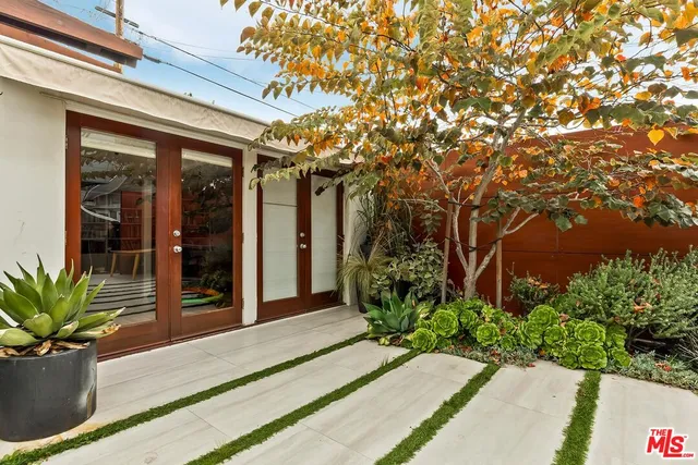 a potted plant sitting in front of a building