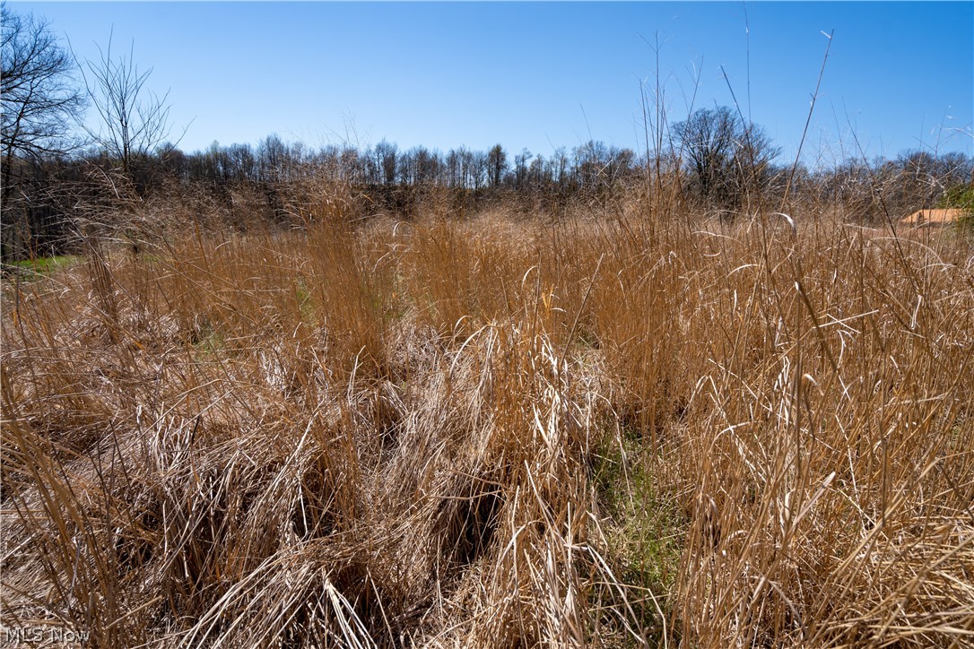 Sealover Hollow Rd Road Philo, OH 43771 - Photo 21 of 36