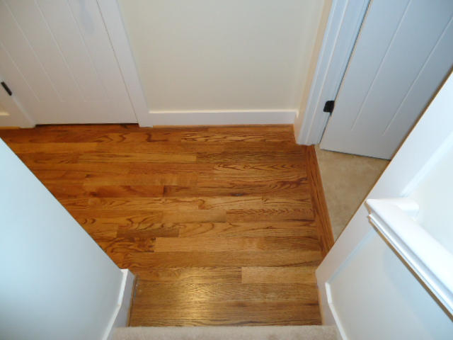 1007 Little Sorrel Road, Unit 460 Hixson, TN 37343 - Photo 28 of 161 DSC05459