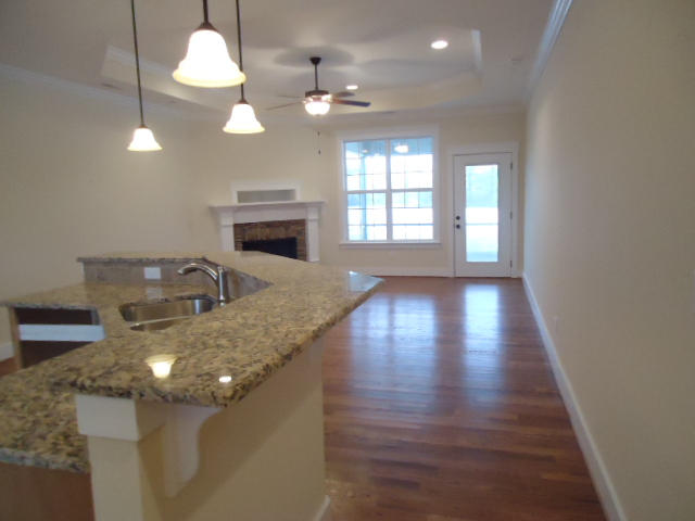 1007 Little Sorrel Road, Unit 460 Hixson, TN 37343 - Photo 4 of 161 DSC05483