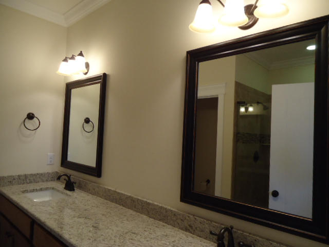 1007 Little Sorrel Road, Unit 460 Hixson, TN 37343 - Photo 56 of 161 DSC05431