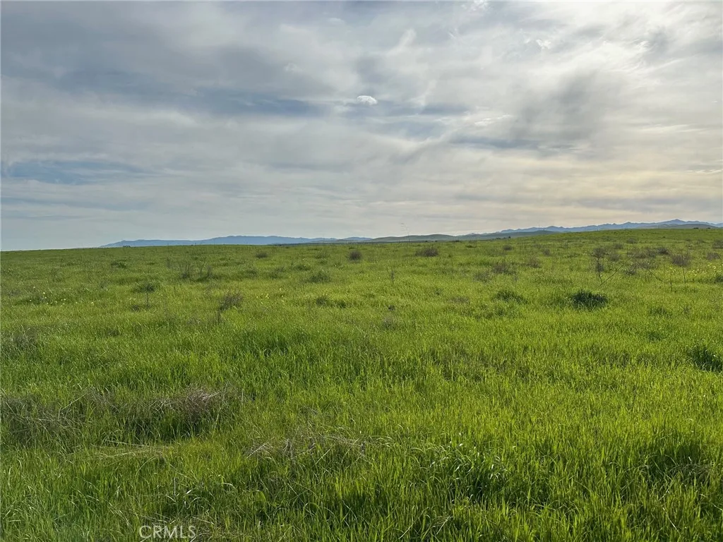 1 Billy Wright Road Los Banos, CA 93635 - Photo 23 of 23 a view of a big yard with plants and a large tree