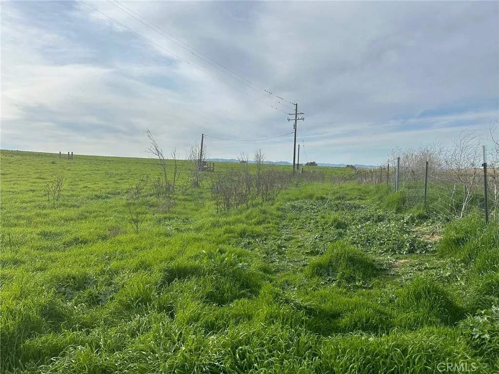 1 Billy Wright Road Los Banos, CA 93635 - Photo 4 of 23