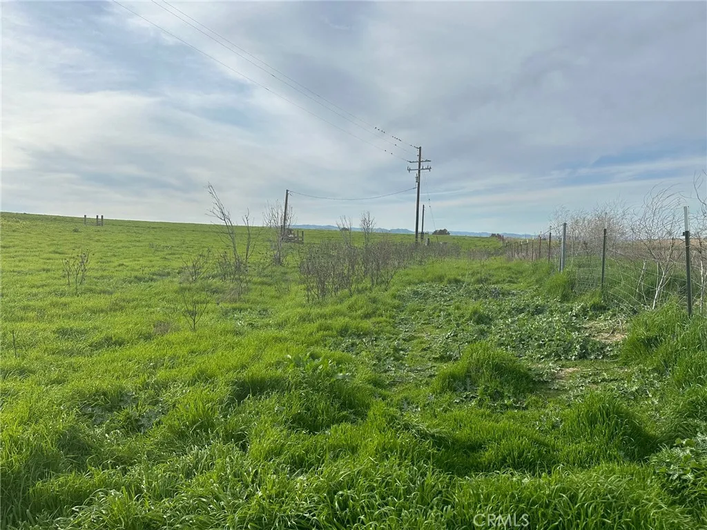 1 Billy Wright Road Los Banos, CA 93635 - Photo 4 of 23 a view of a green field with lots of bushes