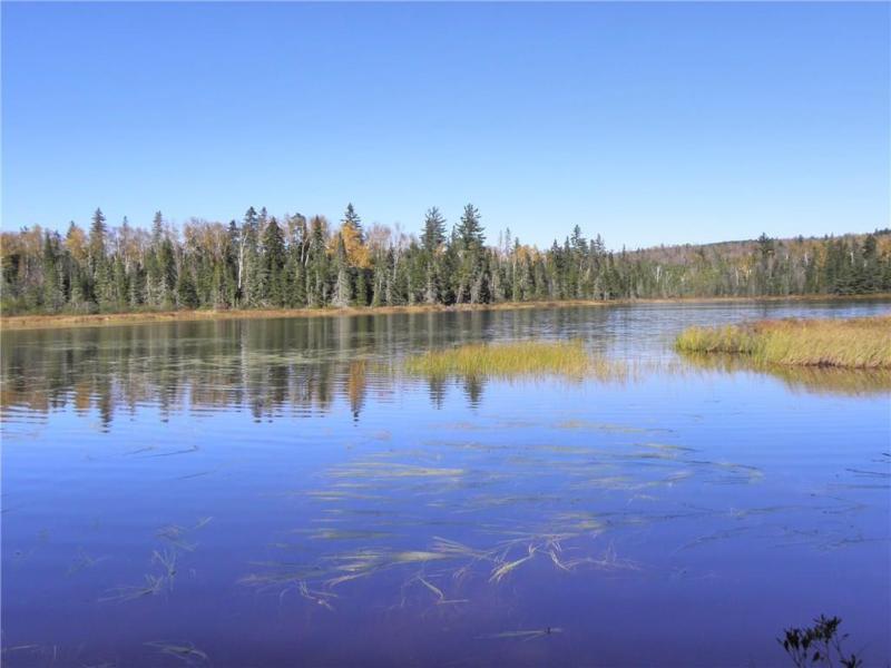 0 Off Route 27 Road Eustis, ME 04936 - Photo 8 of 10 Pond
