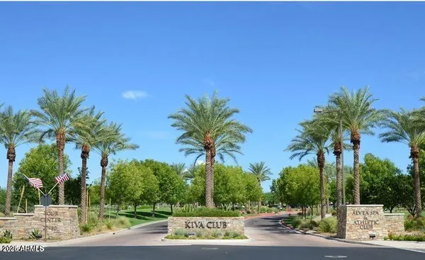 a palm tree sitting in front of a yard with palm trees