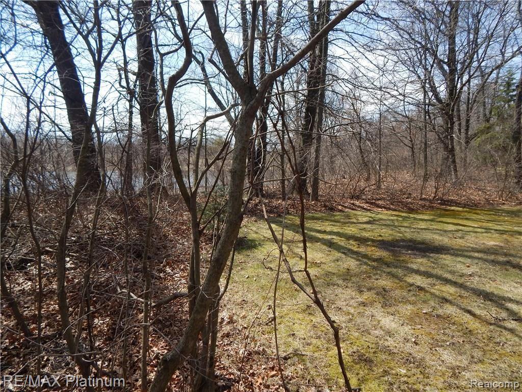 19283 Hickory Ridge Road Fenton, MI 48430 - Photo 71 of 72 DSCN3820.JPG