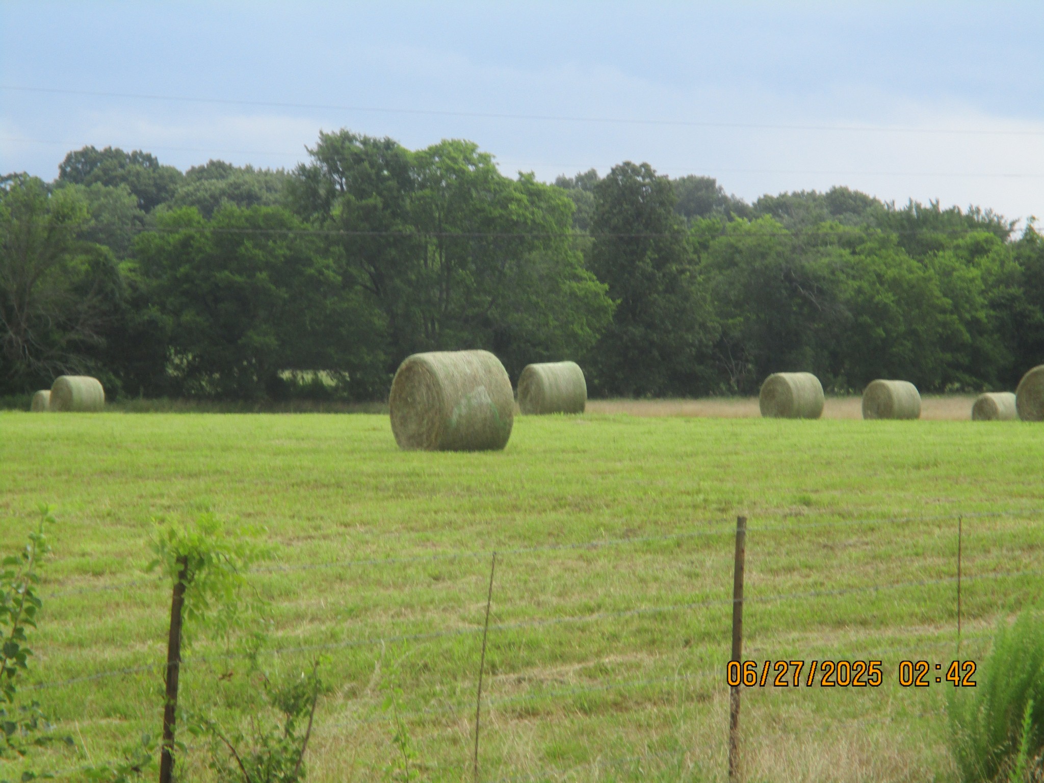 0 Blanton Road Eagleville, TN 37060 - Photo 20 of 22 Gallery Image 20
