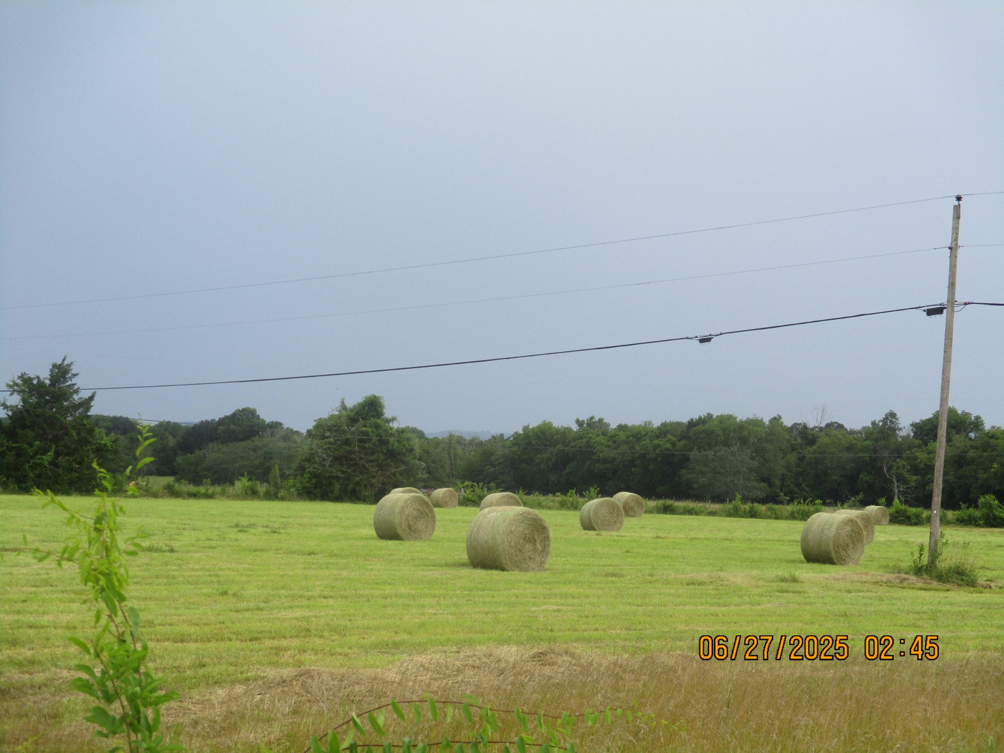 0 Blanton Road Eagleville, TN 37060 - Photo 2 of 22 Gallery Image 2