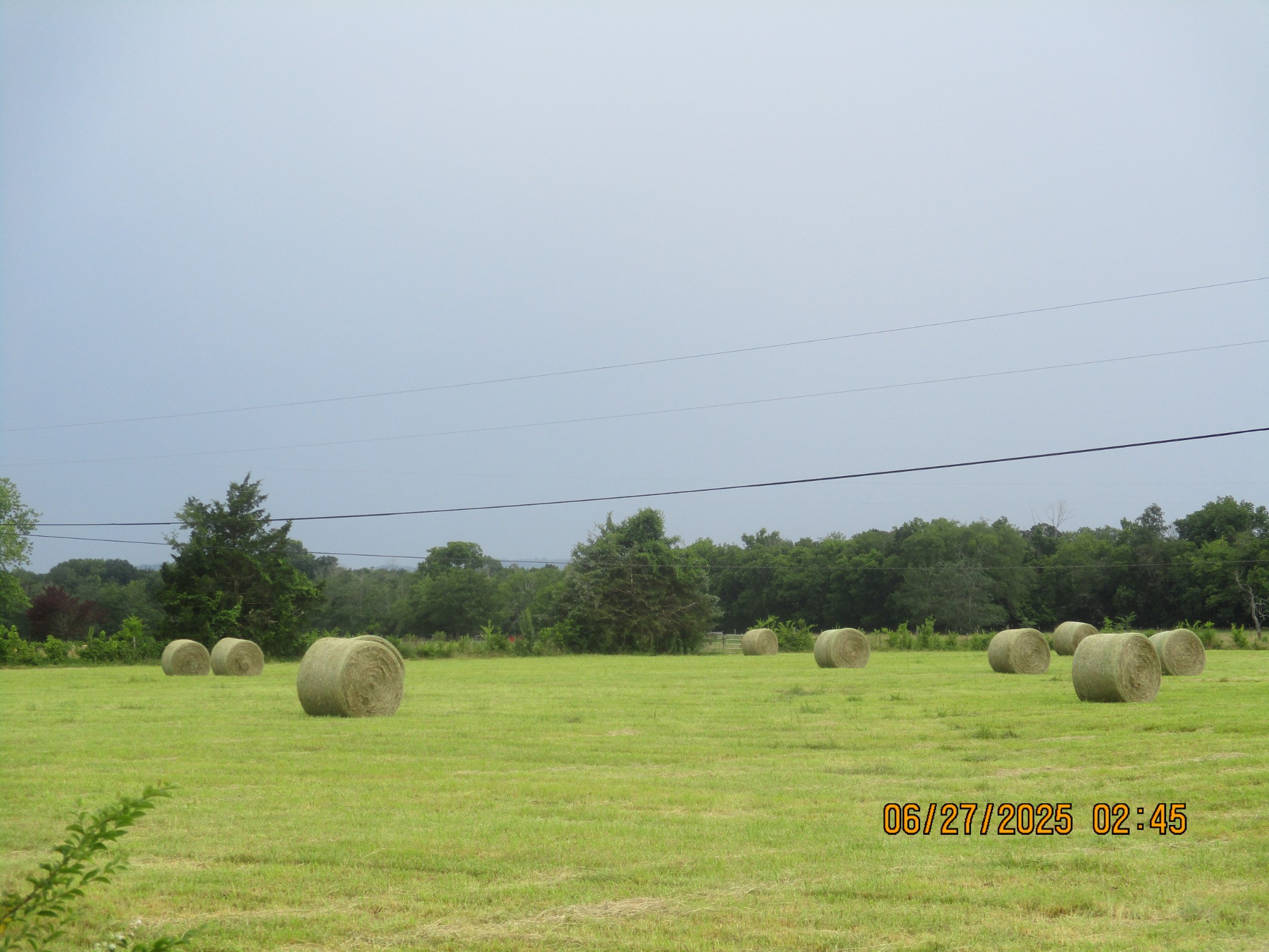0 Blanton Road Eagleville, TN 37060 - Photo 4 of 22 Gallery Image 4